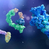 New Scientist
